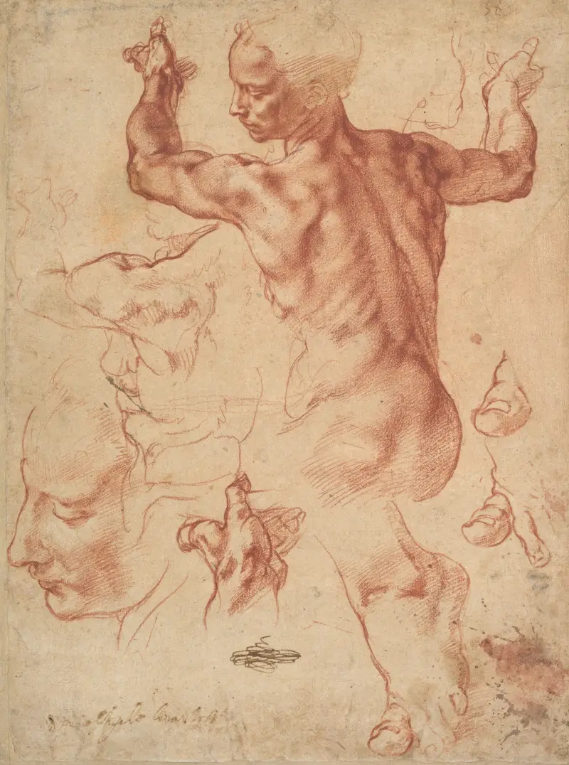 Studies for the Libyan Sibyl Michelangelo Drawing